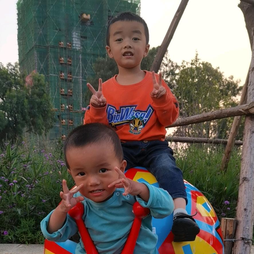 两只小老虎