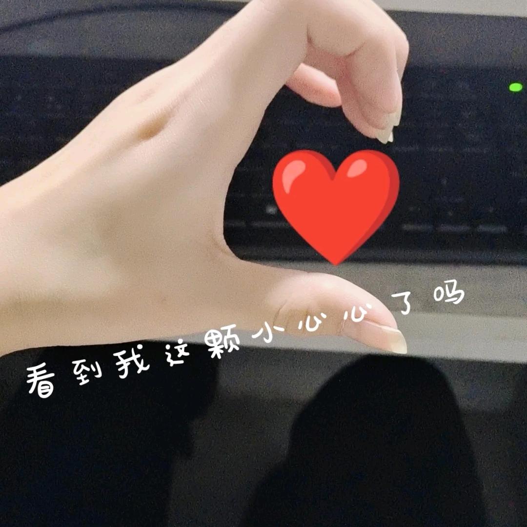 小布丁