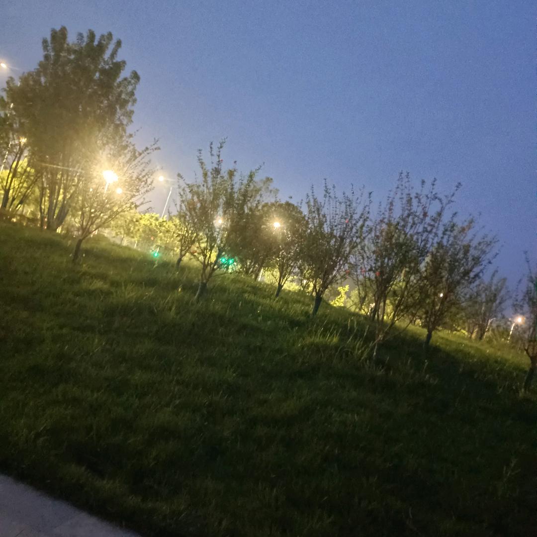 暖肠小食光✨