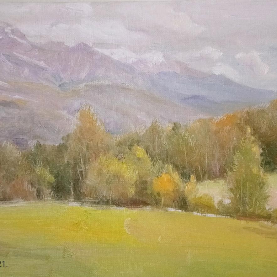 阳江教美术的刘老师