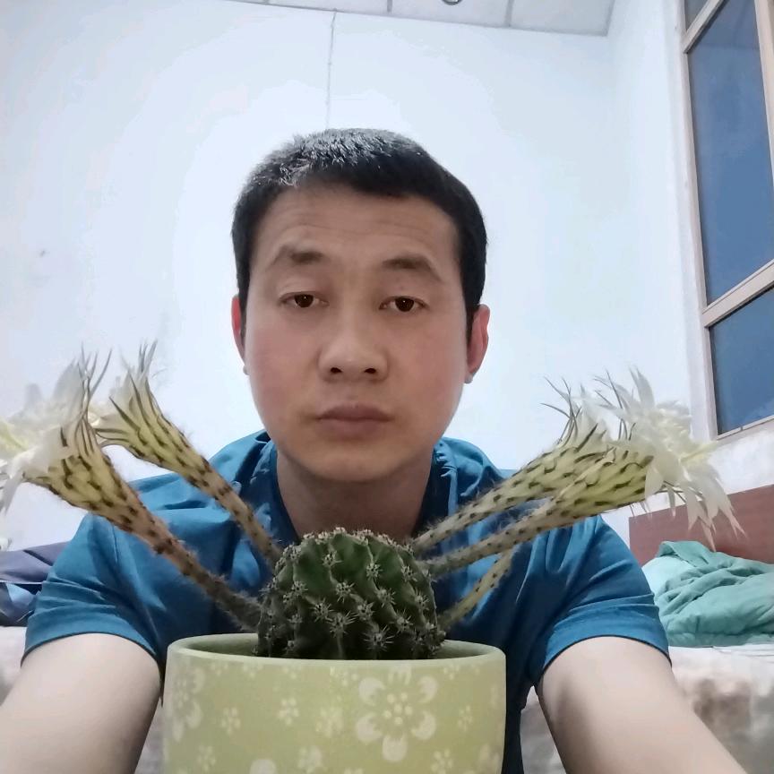 退一步海阔天空