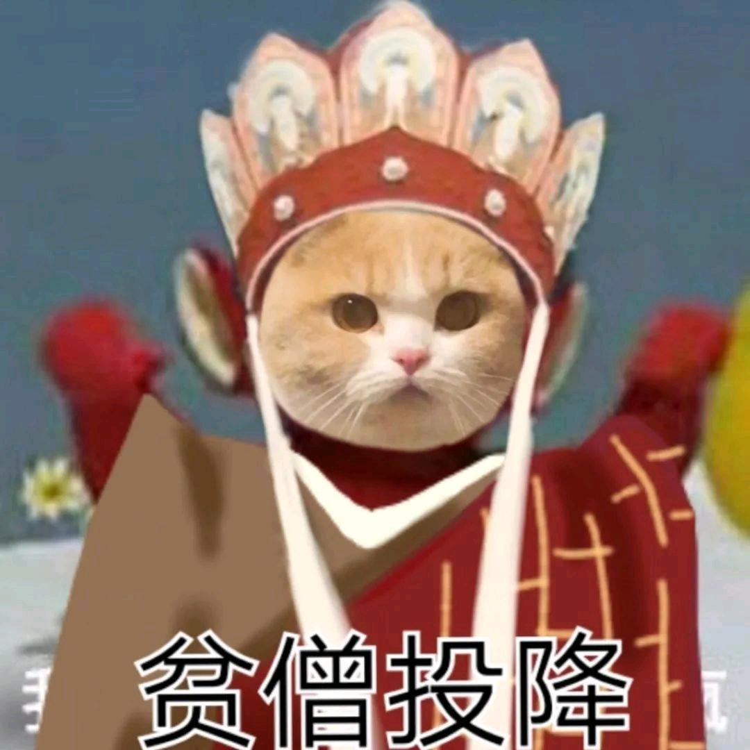 施主不要走（互关）