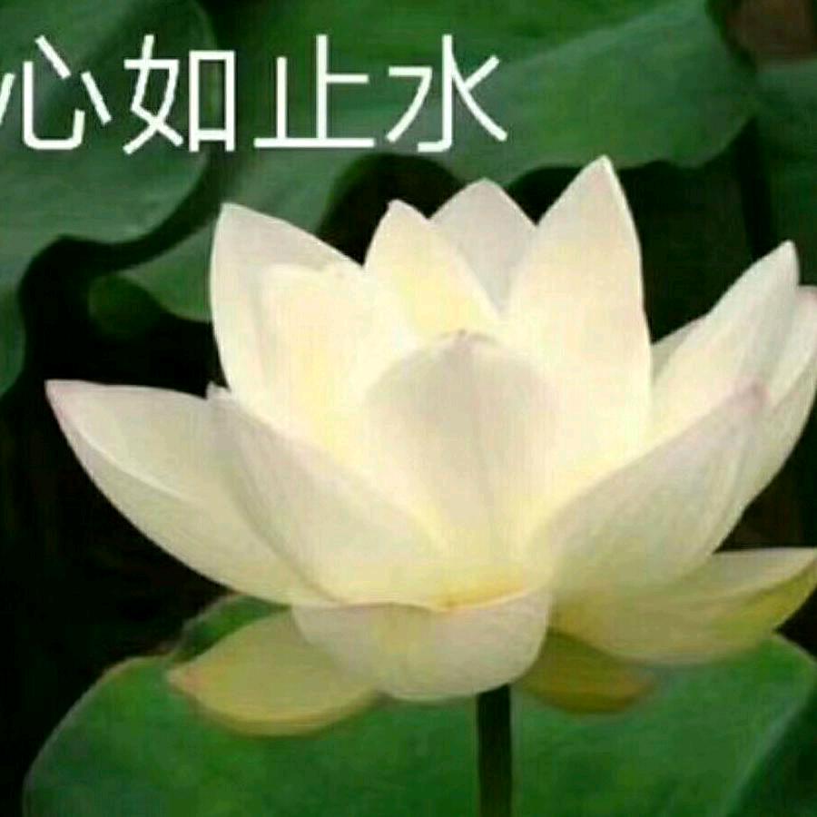 清