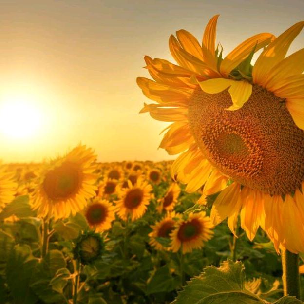 🌈董懂🐯🌈🌈