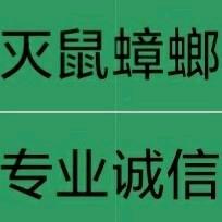 A0除鼠蟑螂白蚁四害全国接单包邮江师傅