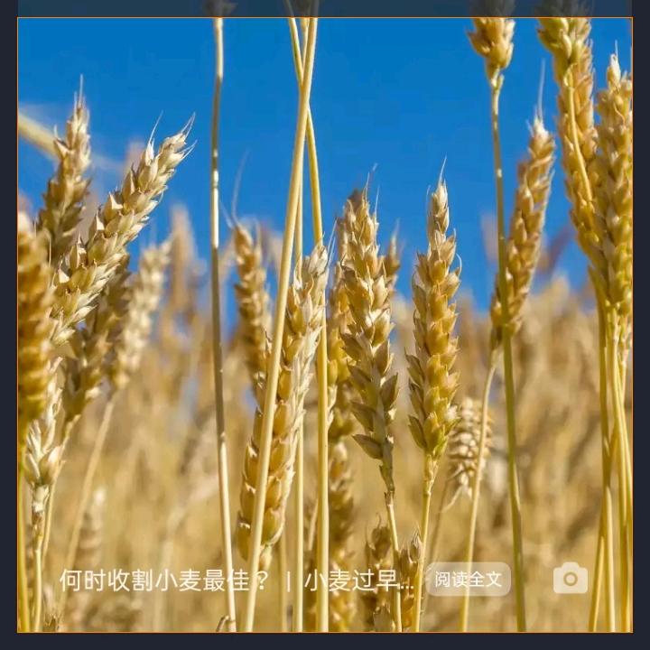 站在长城选好物