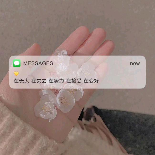 人生若只如初见☞