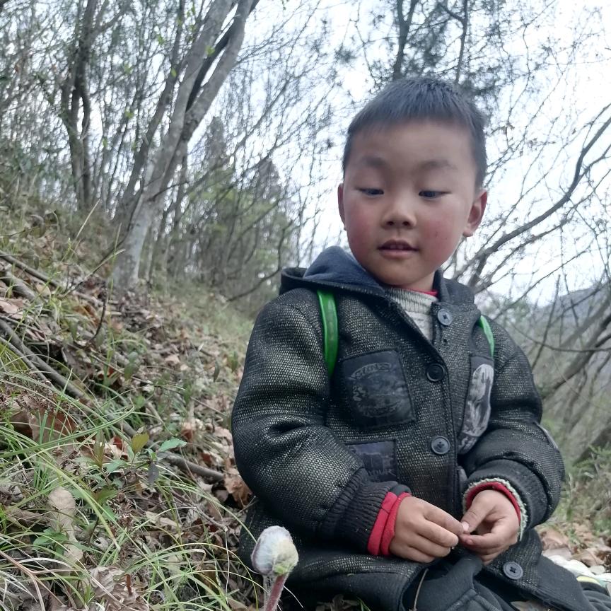 青川杨先杰