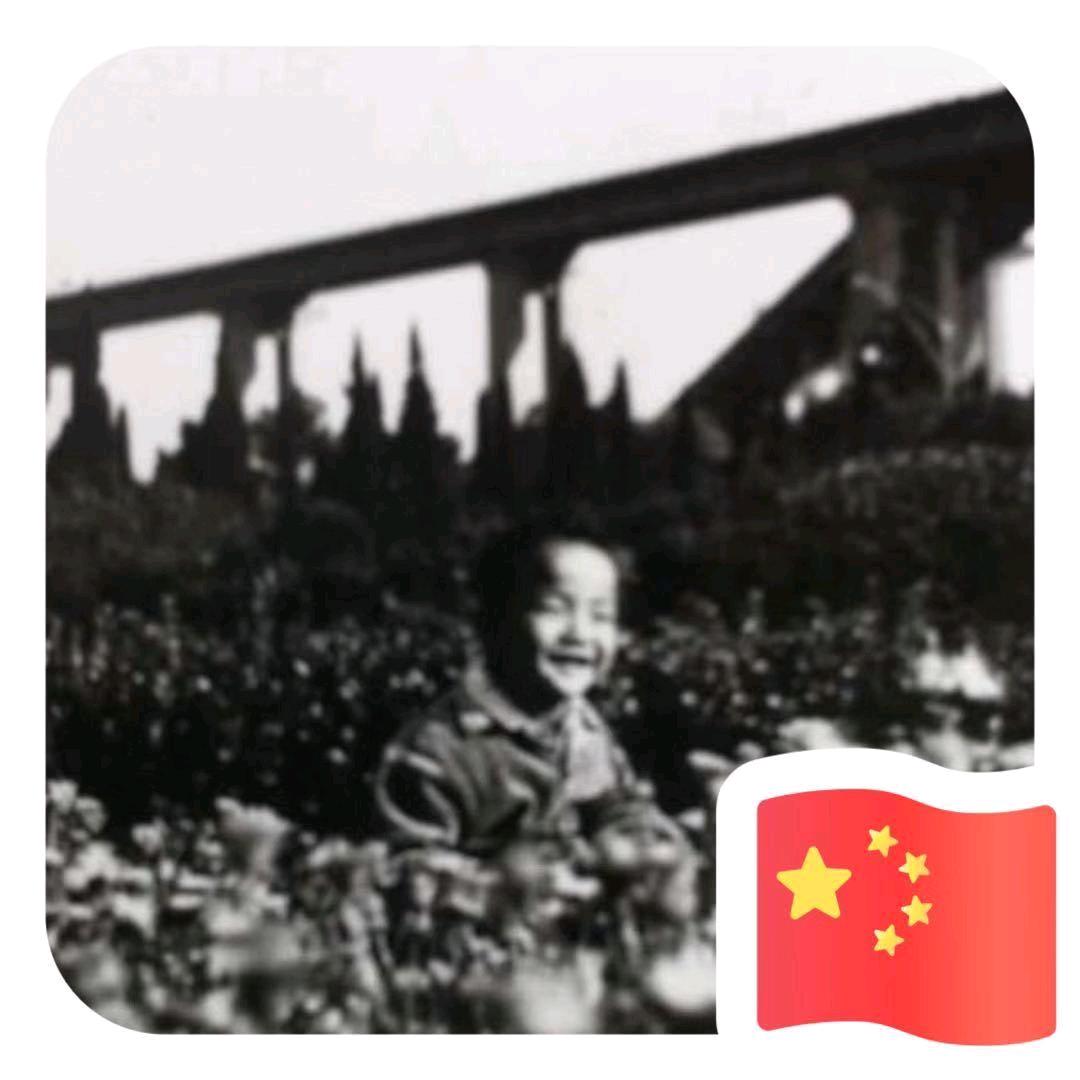 恋恋风尘