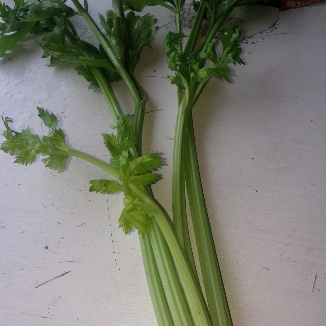 随州市二手钢管市场