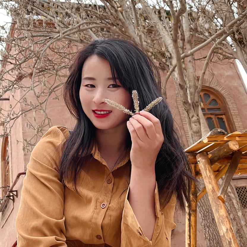 唐妞～新疆特产