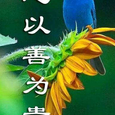 逍遥快乐