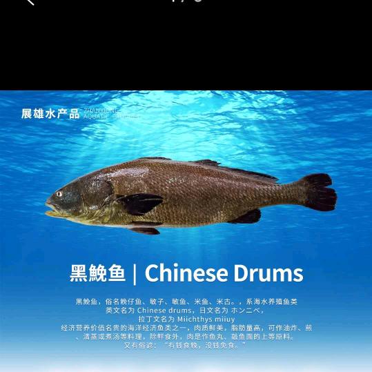 枫语轨迹