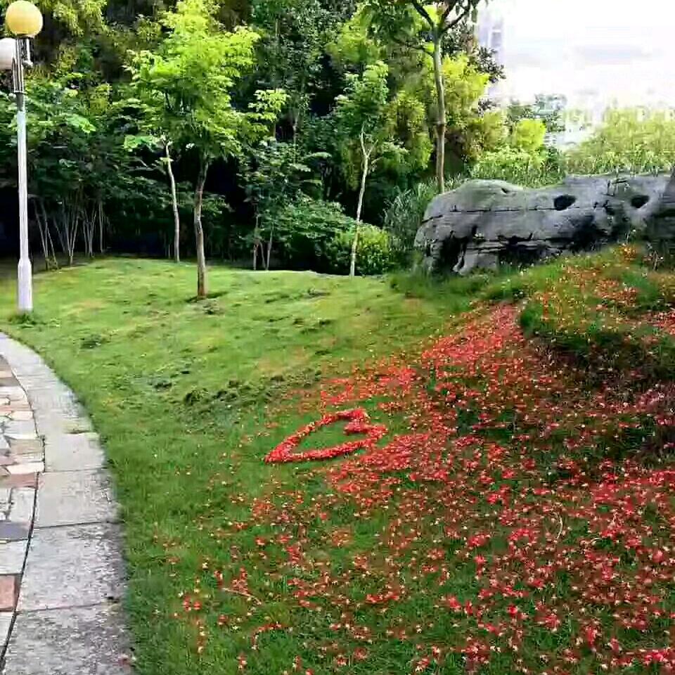 💕轻ꦿ舞᭄ོ࿆🕊飞扬