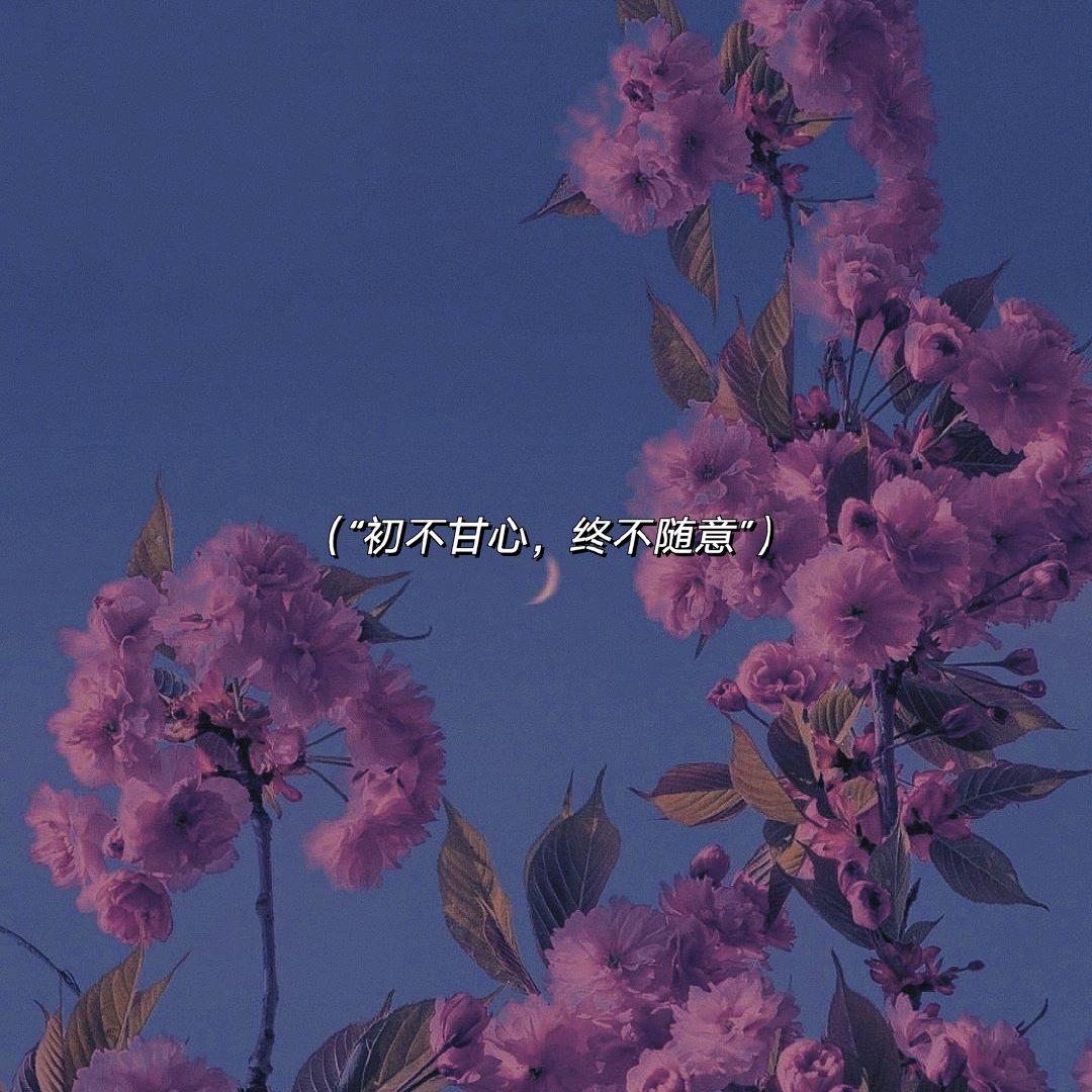 小女人-