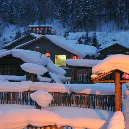 冬天的雪