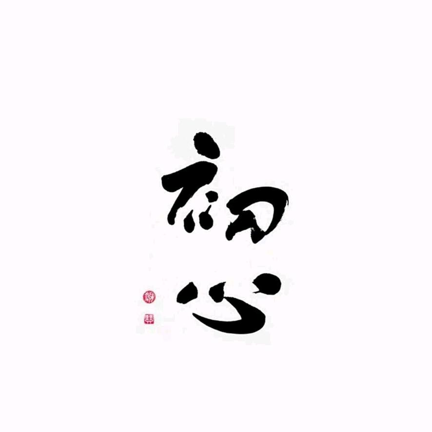 飞翔的蒲公英