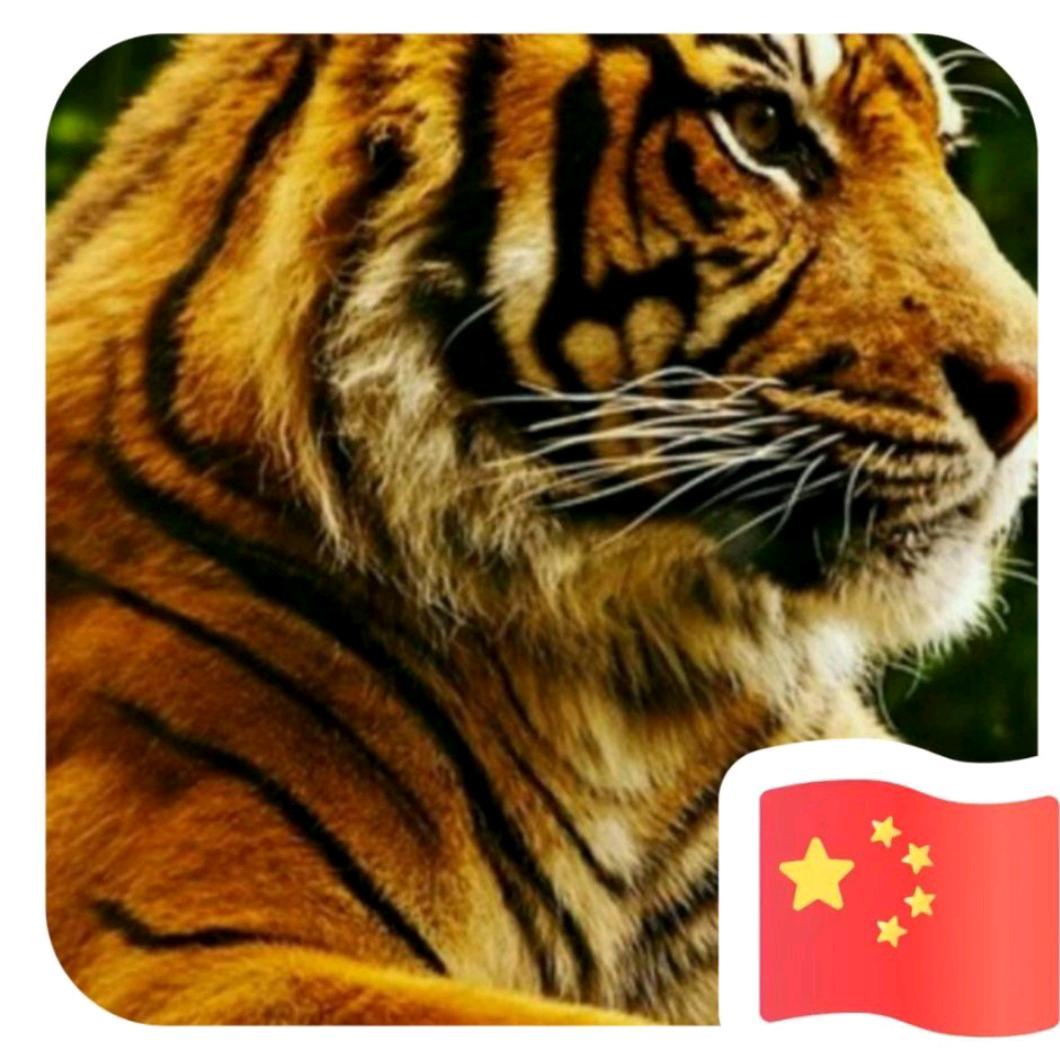 生龙活虎