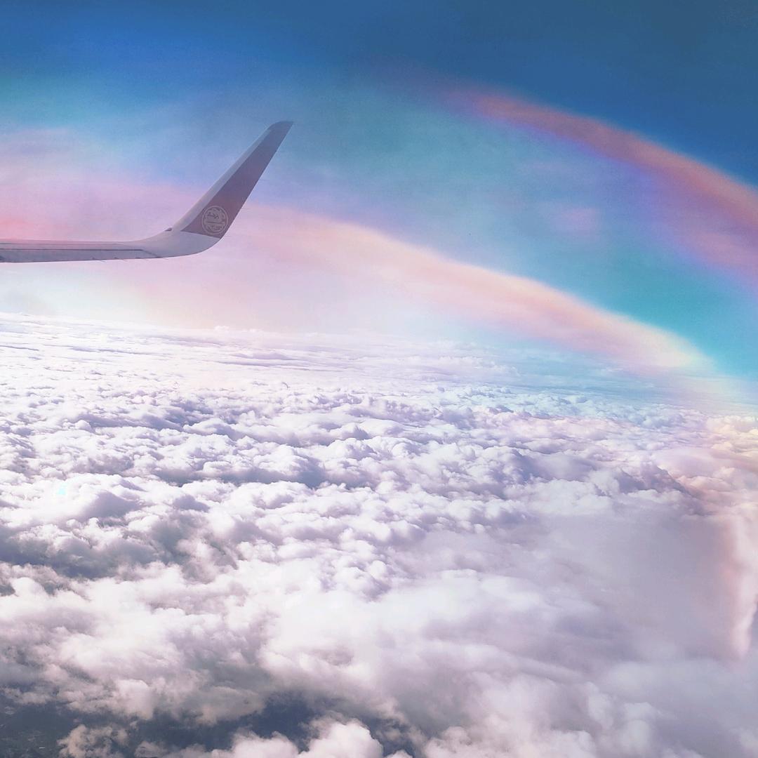 大哥说我是宋仲基耶