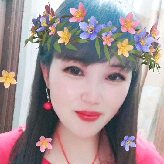 朱红红