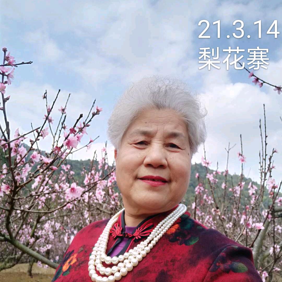 夕阳红，《拒绝合拍》