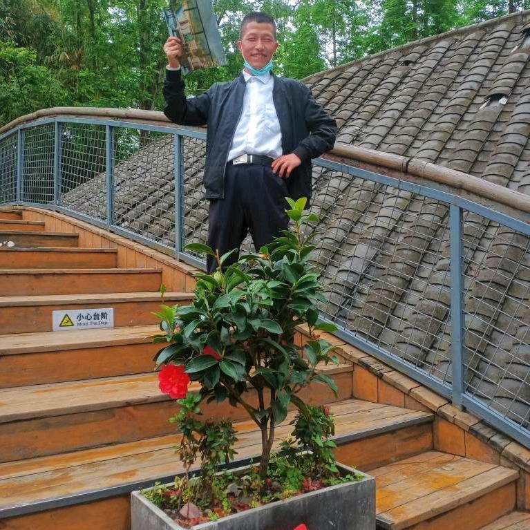 手起刀落