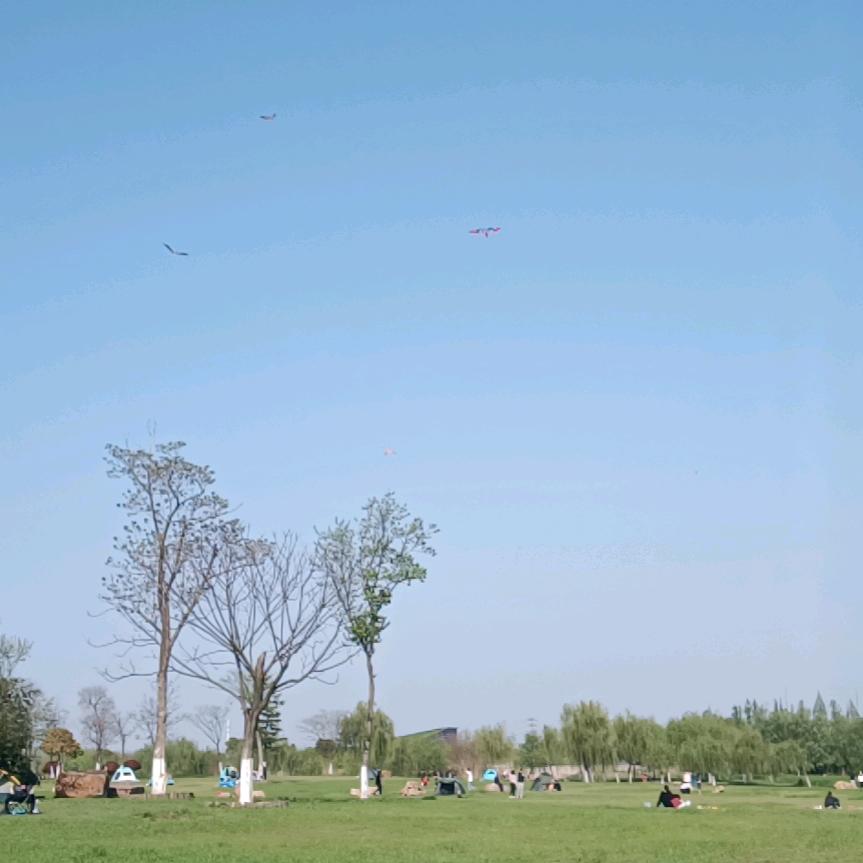 დ烈酒浓烟᭄ꦿ