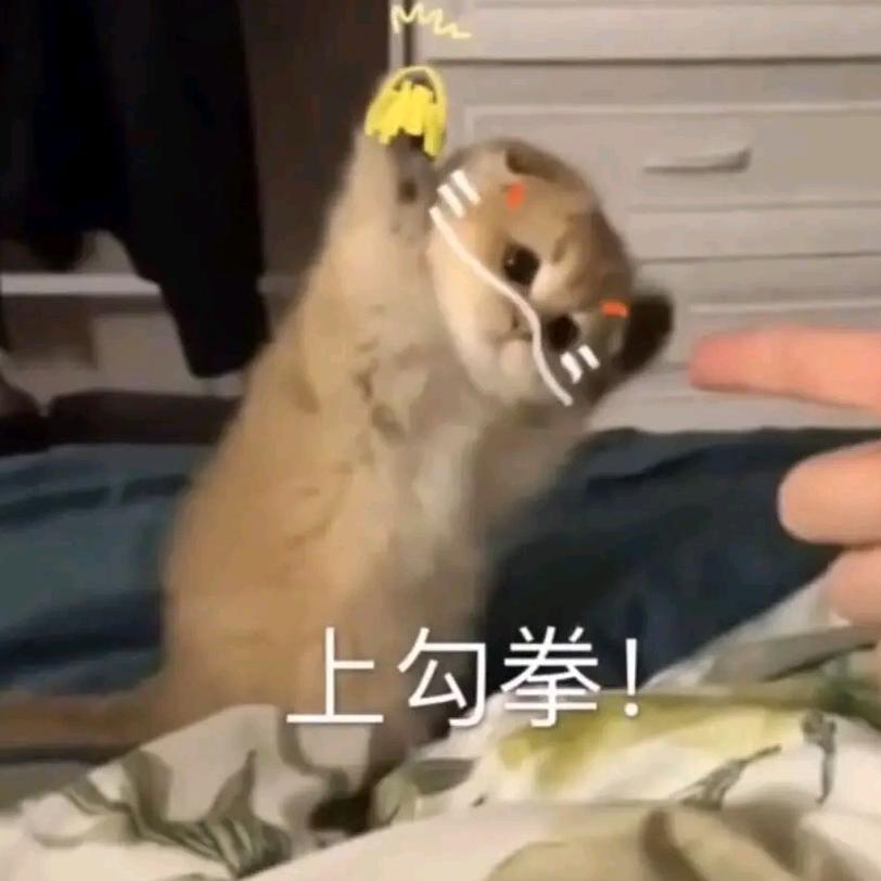 潇祈吖♡