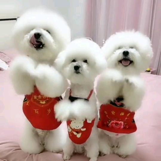 福娃