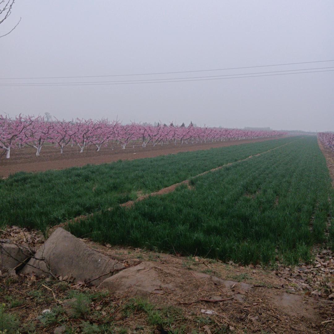 人生就是一个原