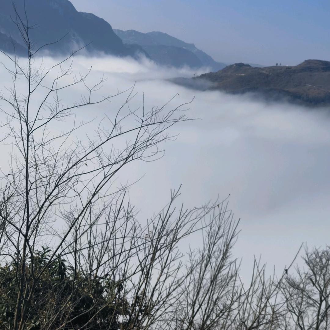 山菜园山茅野菜烤鹅馆