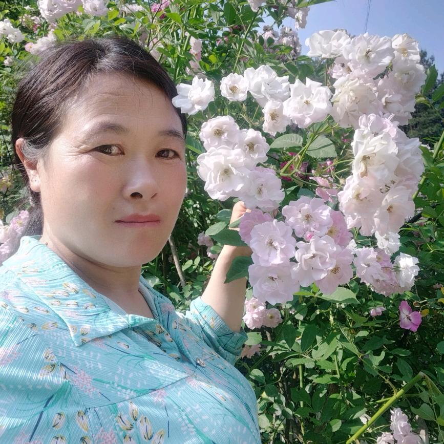 ௸安稳ೄ೨✿