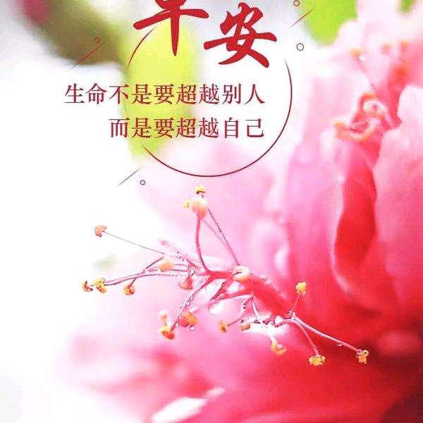 唯一