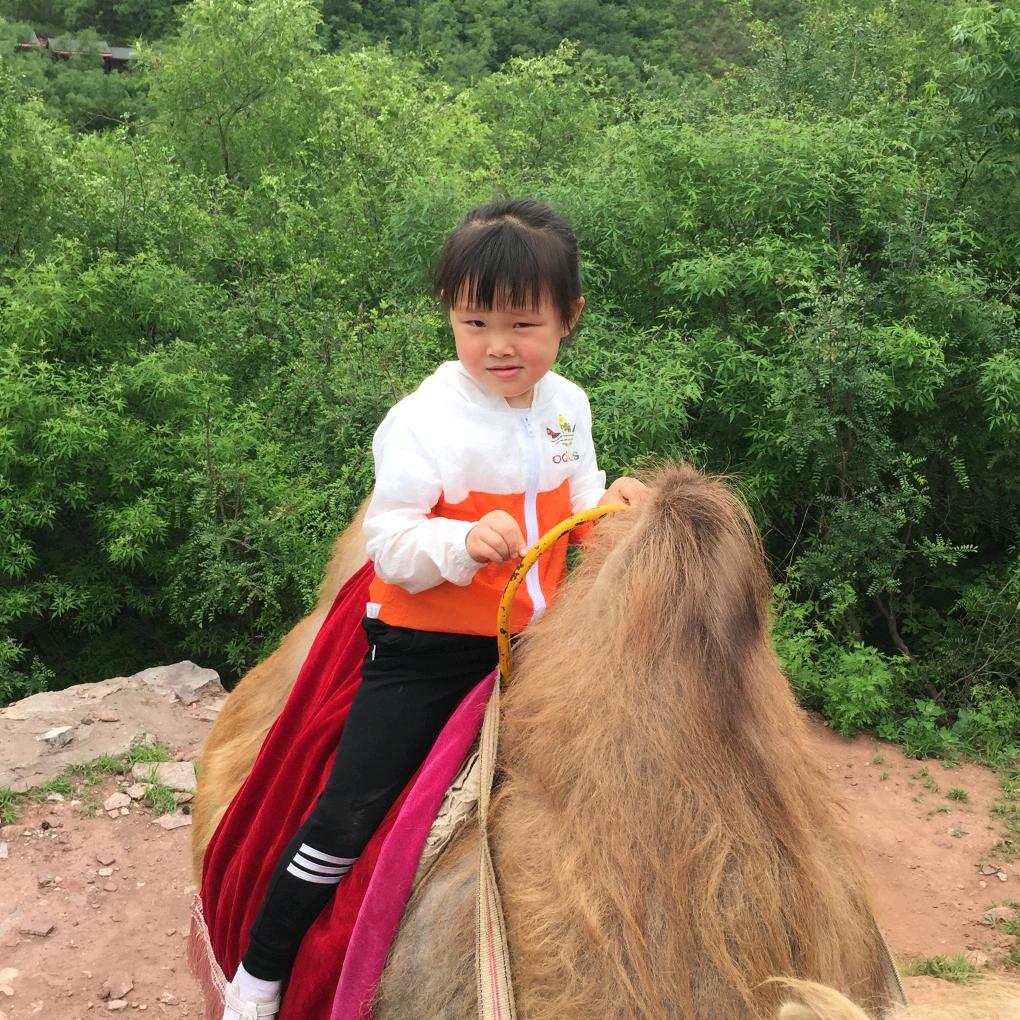 李 哥