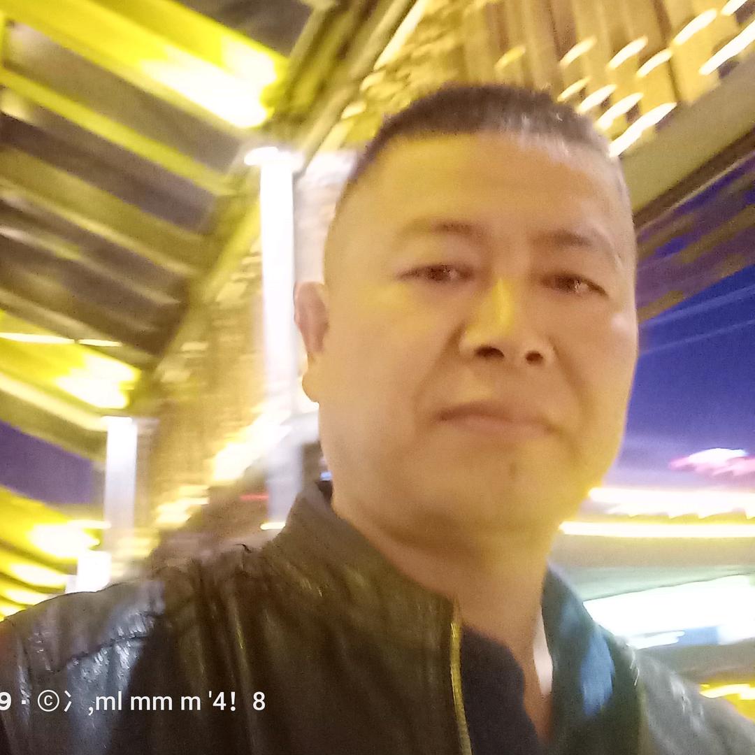 红豆杉