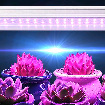 花伴灯具旗舰店