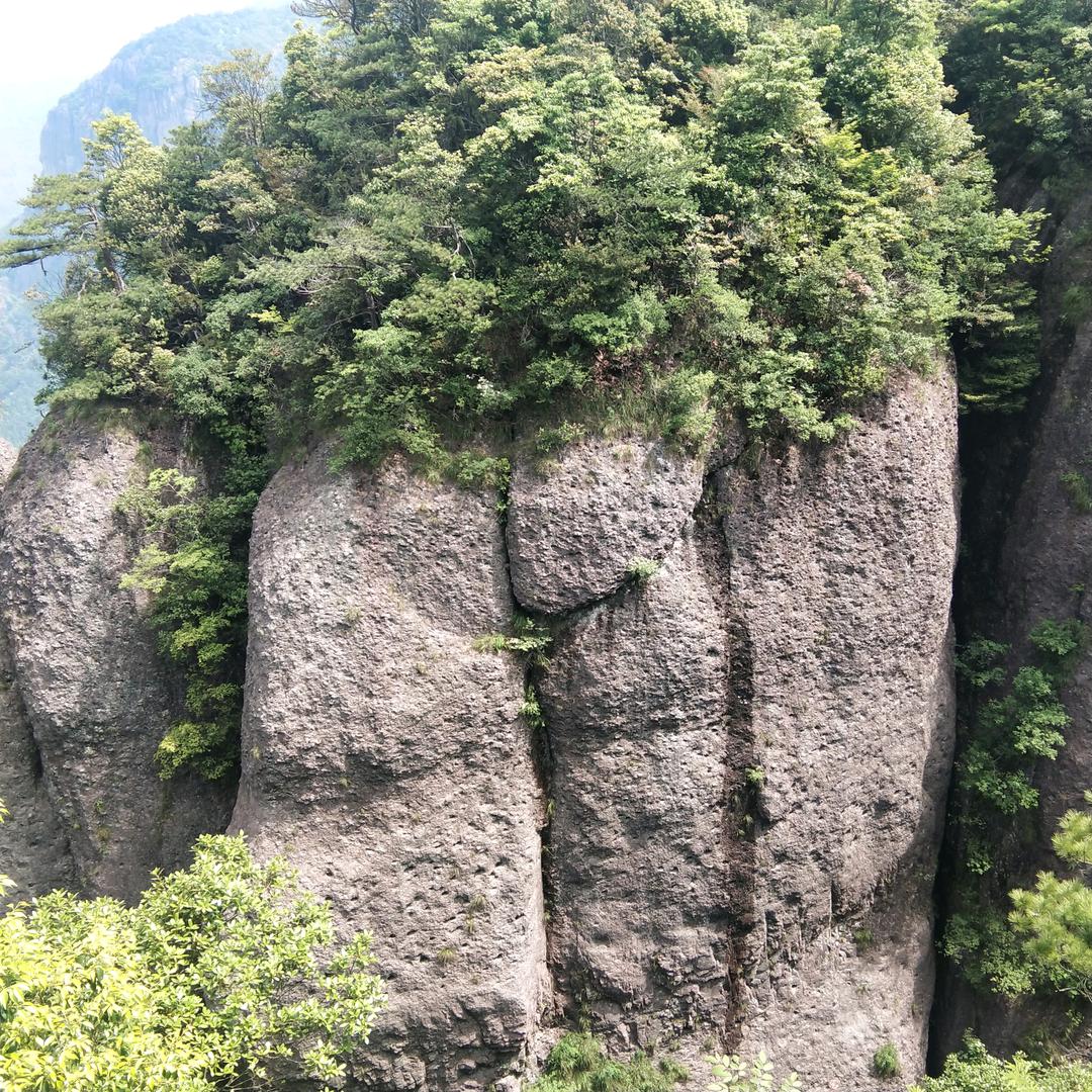 伟波
