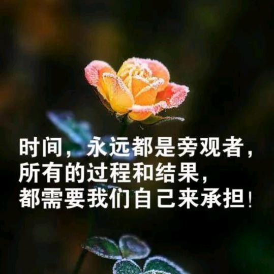 种大棚的小敏《大棚深翻，土壤改良》