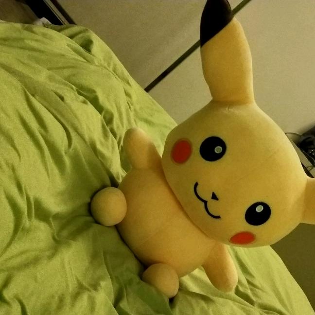 耐力耐气坏蝈蝈