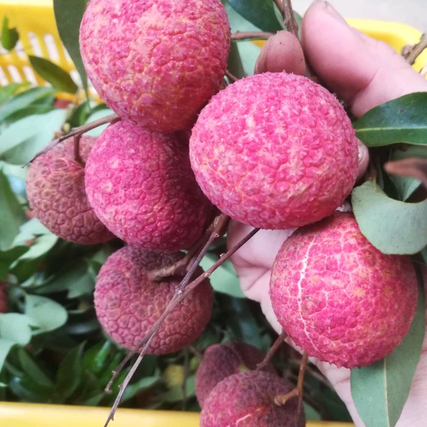 ℳঞ吴心钟有你💕 ❧⁵²⁰