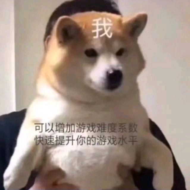 xiao九