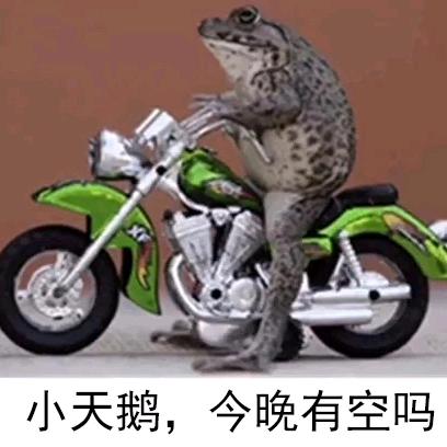 江口雅迪