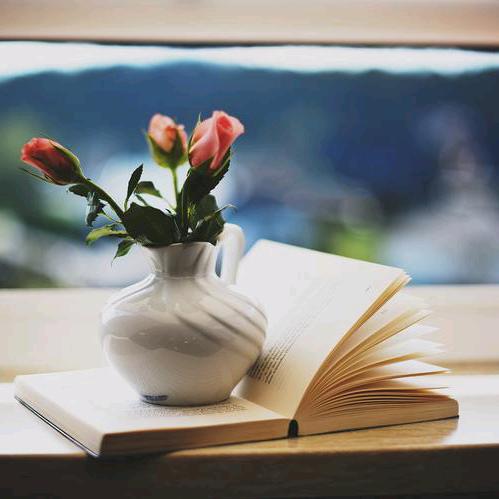 阳光书城-静宁店