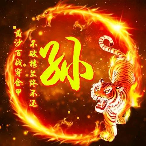 有你真好 洛阳 孙意