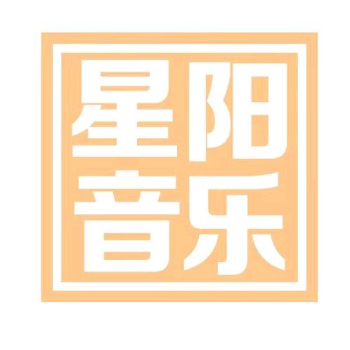 成武县星阳音乐工作室