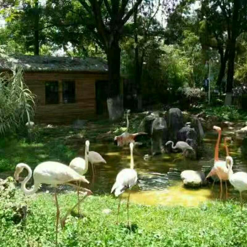 时间的过客！！！