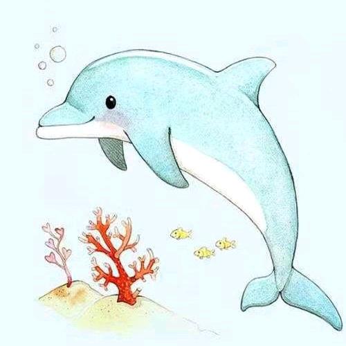海豚^O^