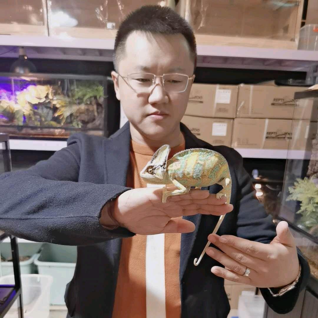 可触摸活体昆虫.爬宠博物馆