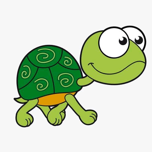 🐢