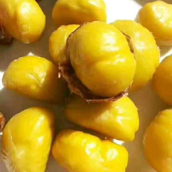 哈密市新世纪商厦千里香炒货店